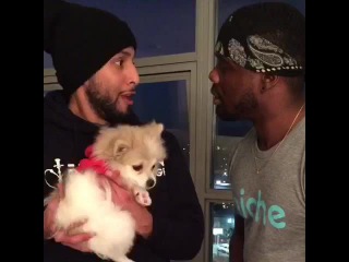 people s voices always change when they see a cute animal (nigga vine)