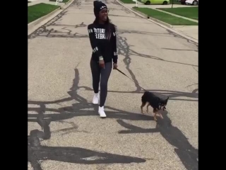 thoughts while walking your dog (nigga vine)