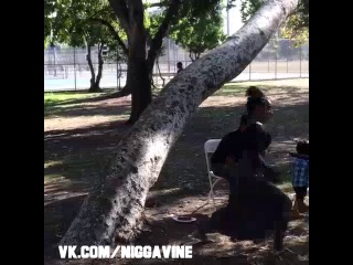 girls will do the most to go pet a dog (nigga vine)