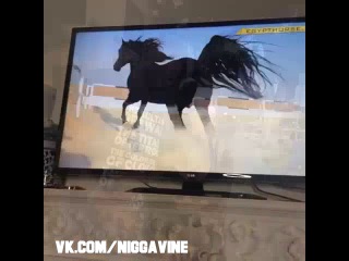 men s taste never change. as boys they want horses as men they want horses (nigga vine)