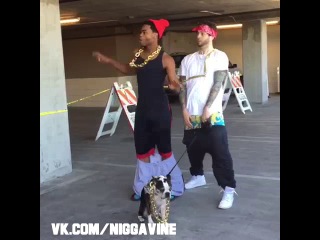 do your chain hang low (nigga vine)