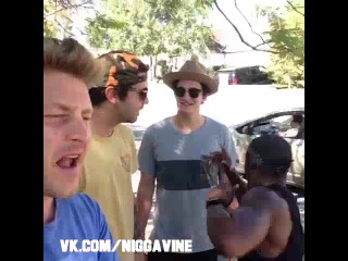 if humans acted like dogs (nigga vine)