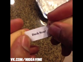 instant fortune cookie (nigga vine)