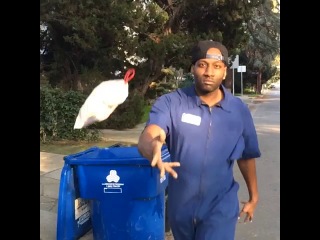 garbage men: sanitation specialist (nigga vine)